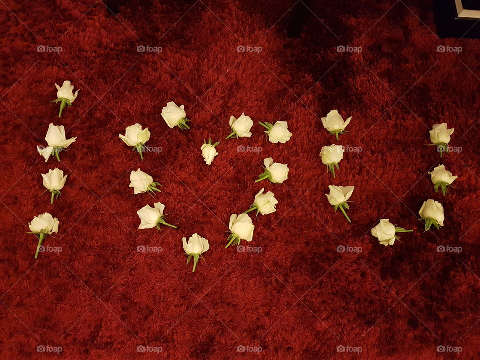 White roses petals arranged in I love you over red background