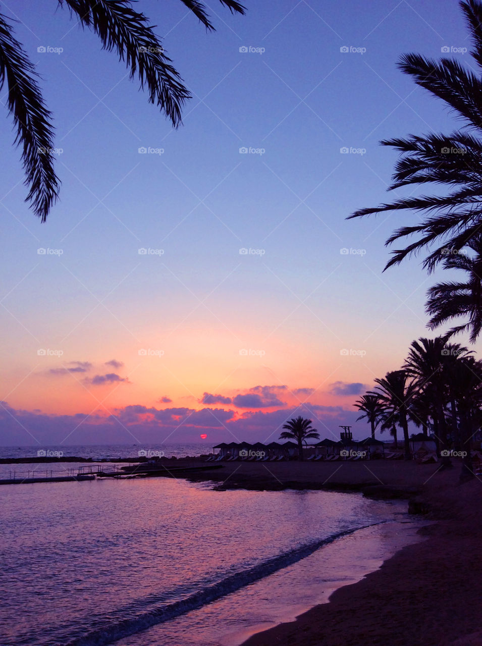 Beautiful sunset over the tropical beach with palm trees 