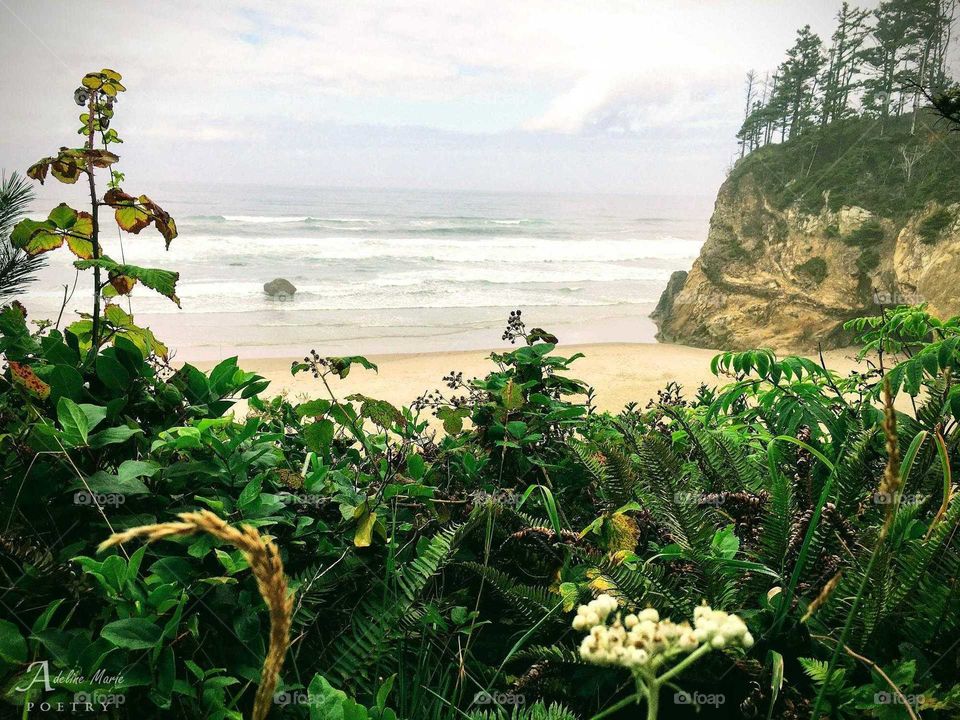 The Oregon Coast stole my heart when I was a young child and will always carry a part of me through my life, even from California.
