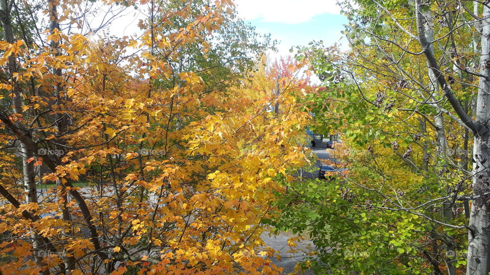 Took a picture from my balcony 