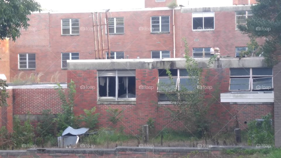 House, Home, Building, No Person, Architecture