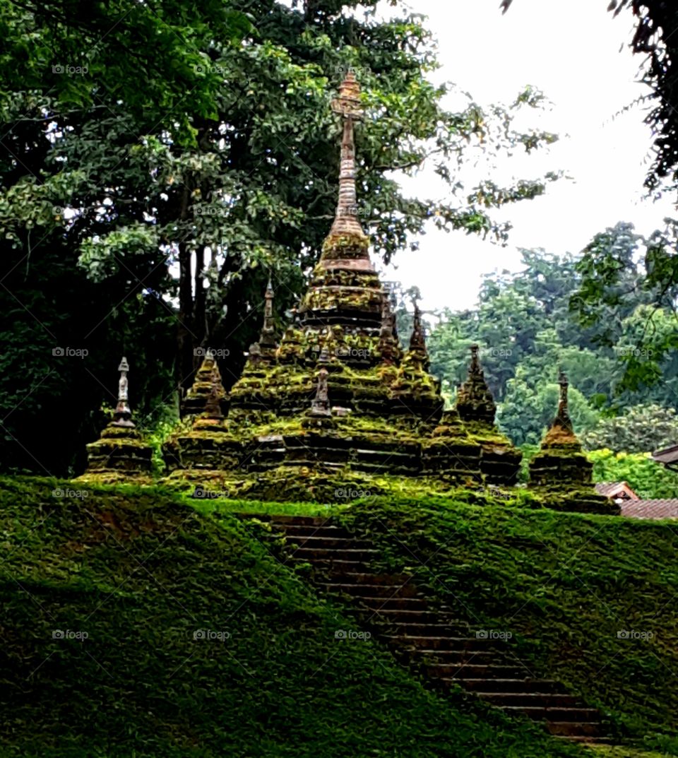 pagoda in the rain forest