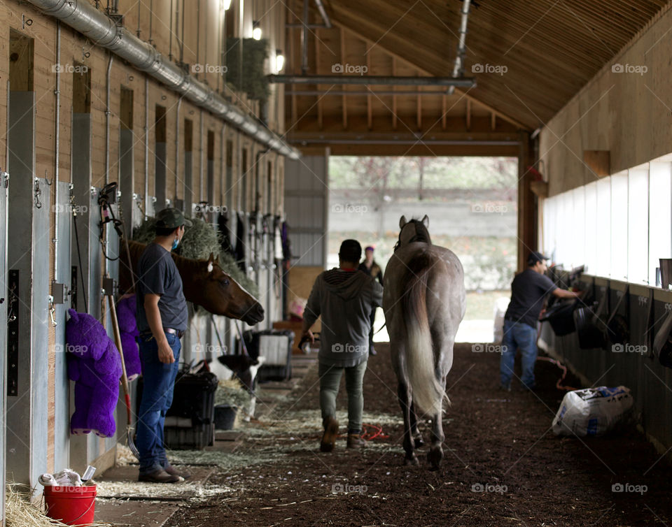 Belmont Park Shed Row by Fleetphoto.net