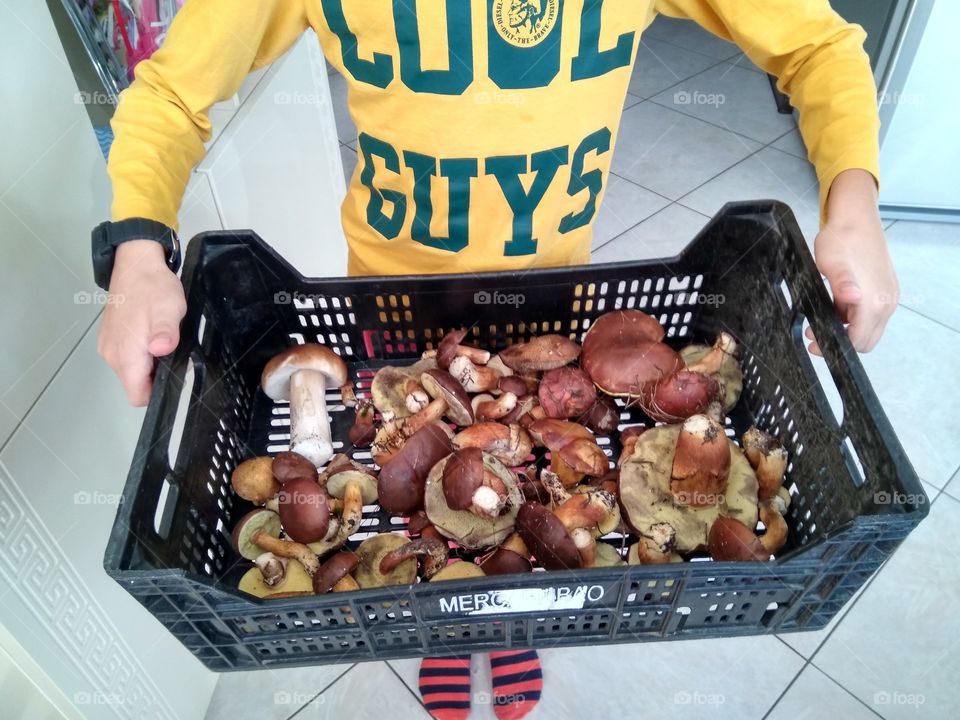 Внук сам собрал грибы в лесу под Киевом. Осень 2018.
Grandson himself gathered mushrooms in the woods near Kiev. Fall 2018.