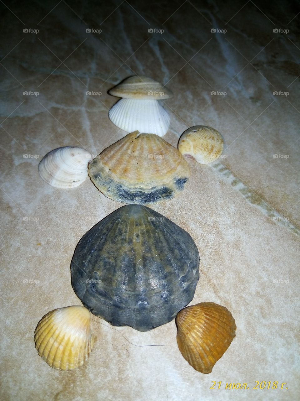 ракушки.море.отпуск.поделки.декор.