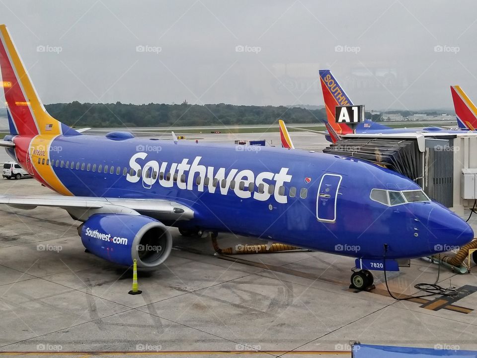 Southwest planes at gates