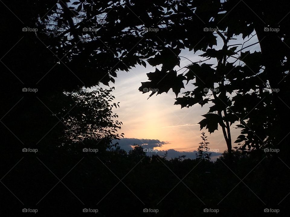 Sunset through the trees in Connecticut 