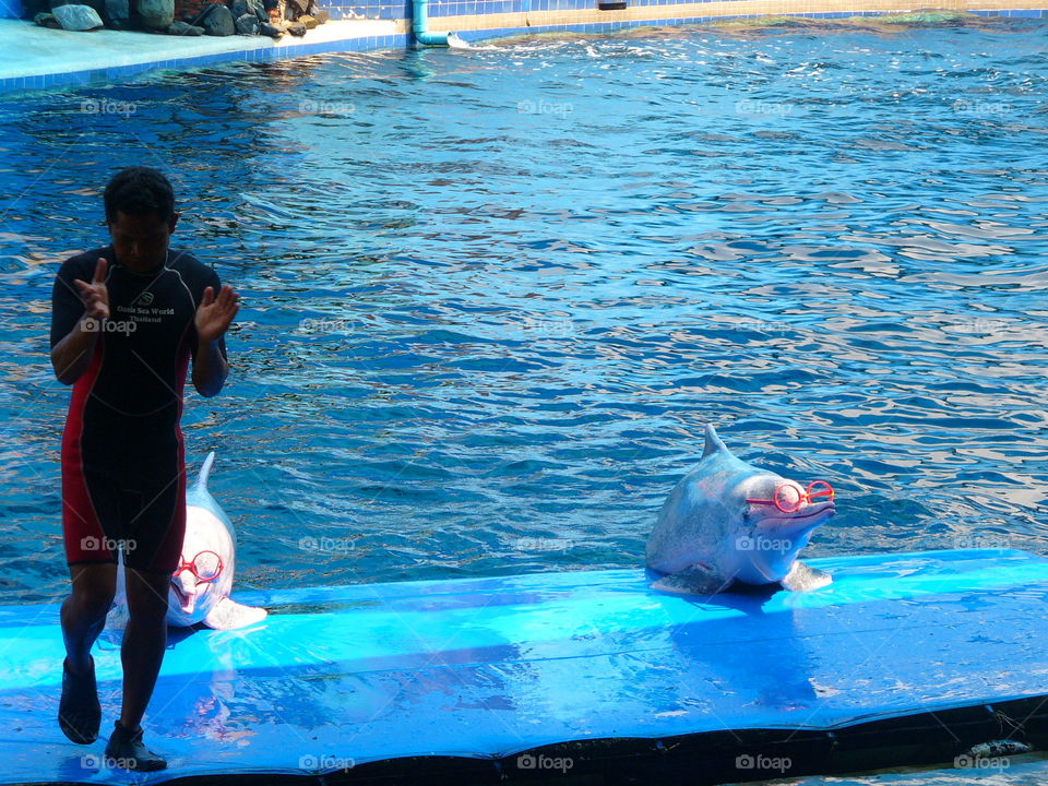 Water, Swimming, Dug Out Pool, Sea, Swimmer