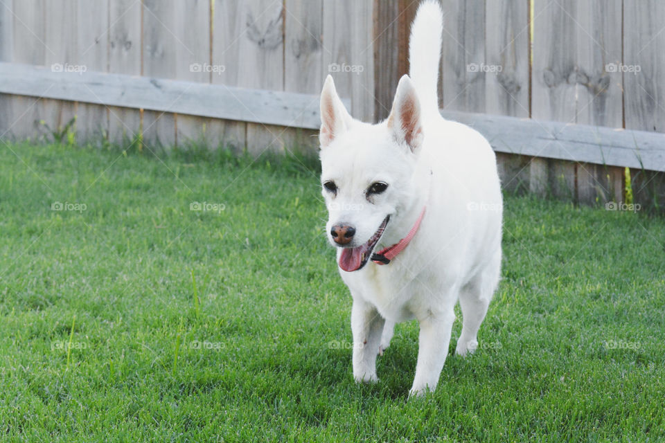 15 years old, still cute