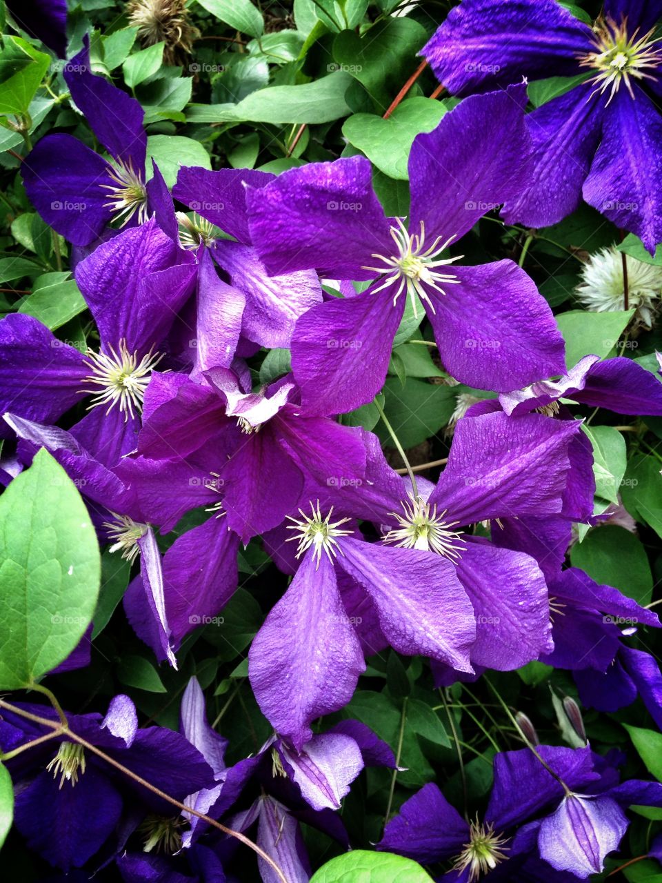 Beautiful flowers. Springtime in the city