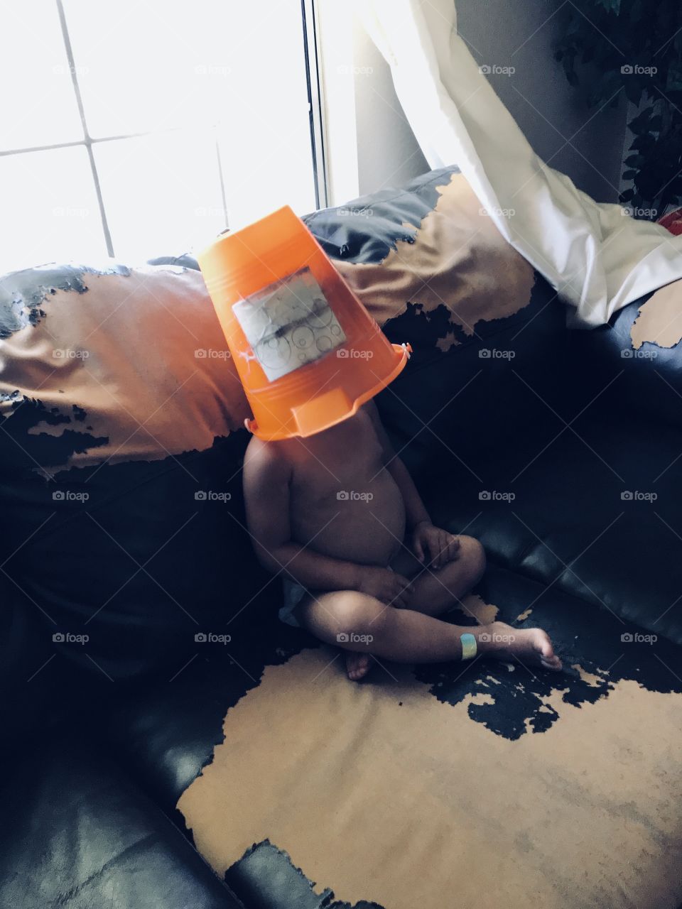 Someone is hiding his head 😝