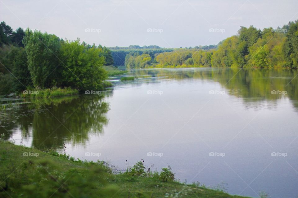 River in the forest