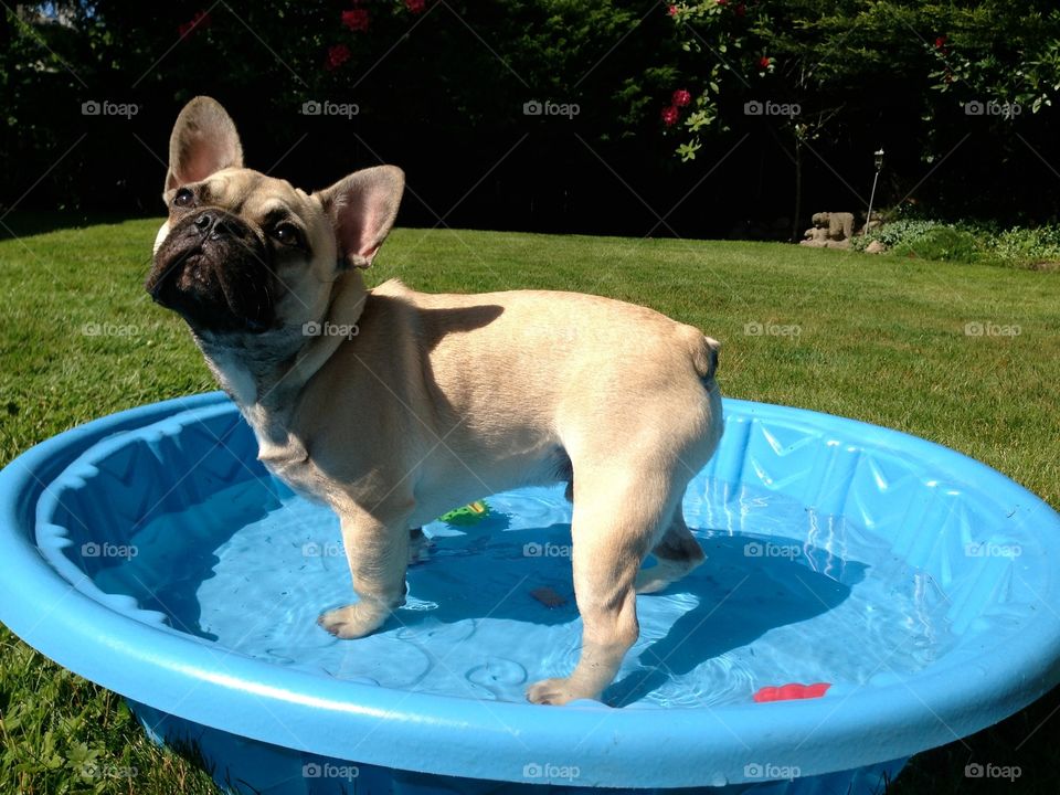 Swim time for Monty