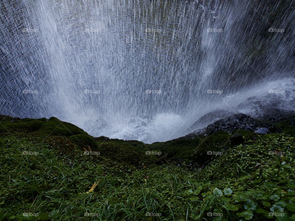 The power of a waterfall seen from behind on the lush green covered cliff. 