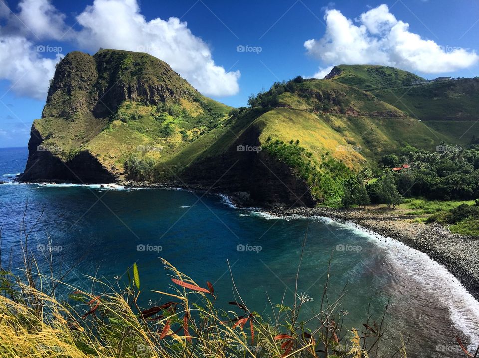 Beautiful landscape on Maui 