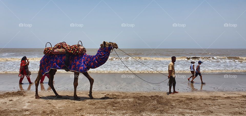 jampore beach, daman, gujarat, india