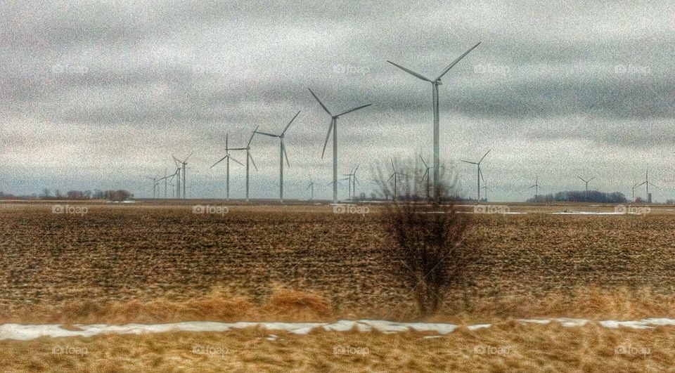Windmills of my mind