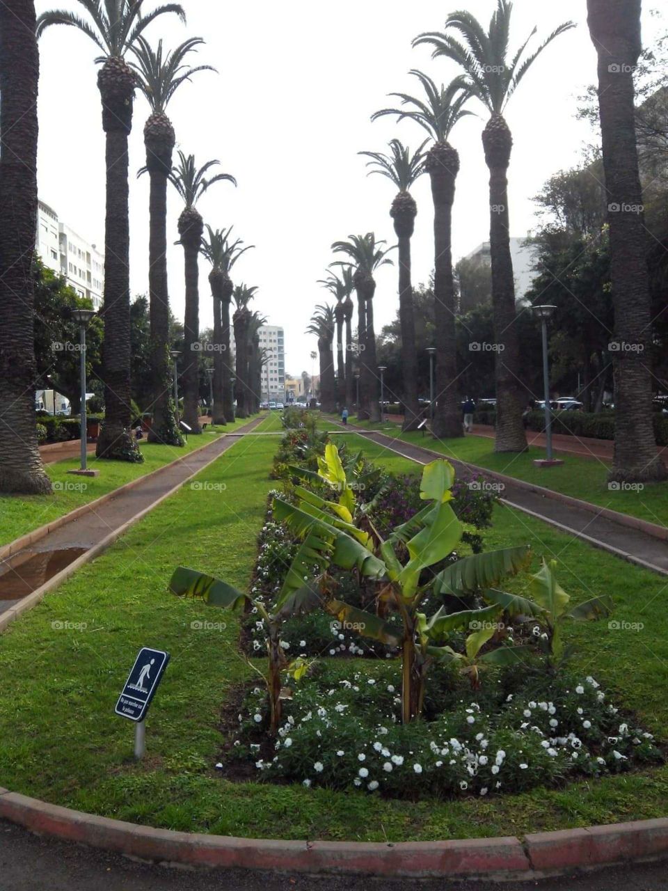 Casablanca morocco 🌴🌴🌴