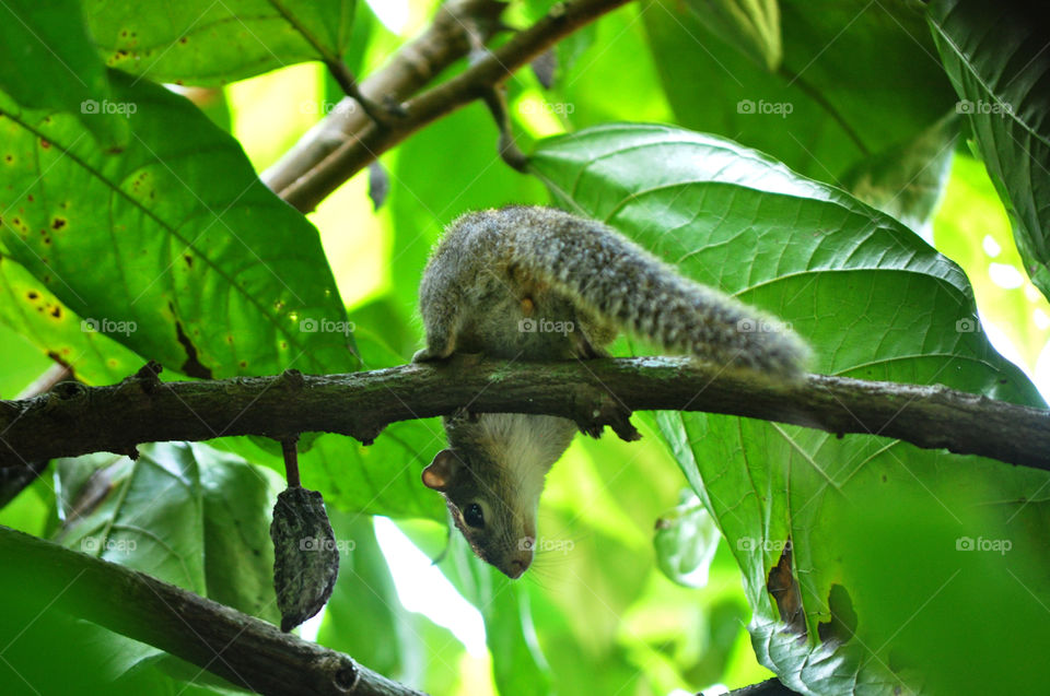 felling so lucky from that evil cat 🙁