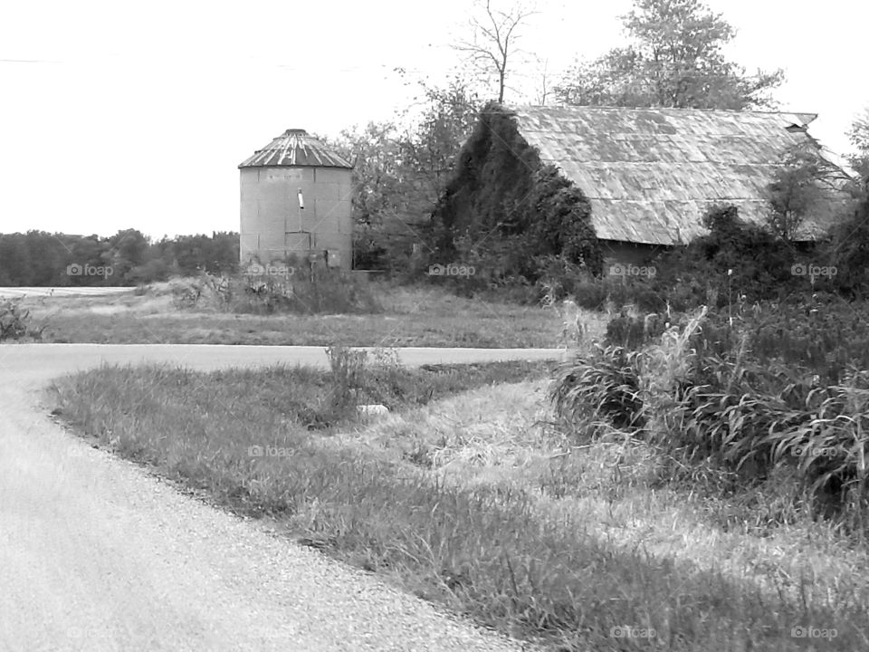 Old Barn