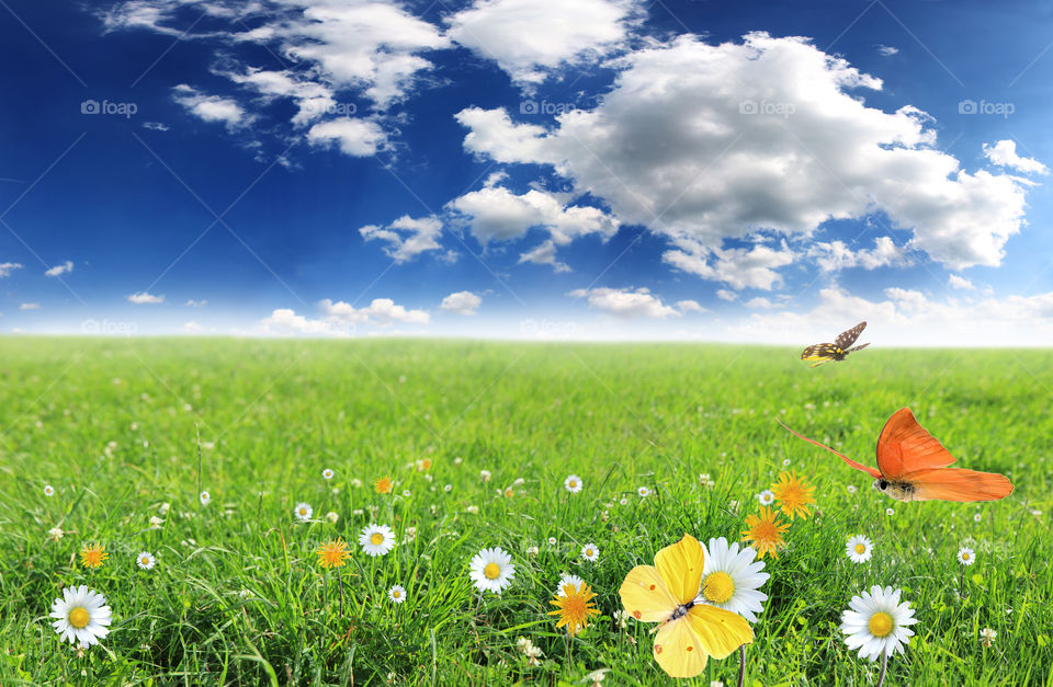 quotes have been tagged as grass: George Carlin: 'I like it when a flower or a little tuft of grass grows through a crack in the concrete.