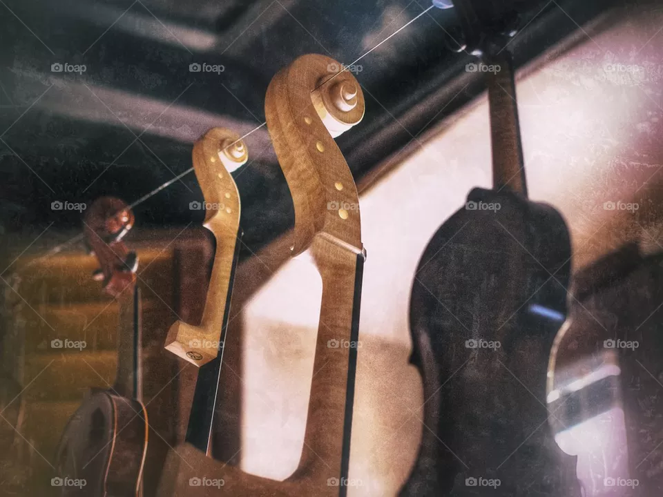 Violins