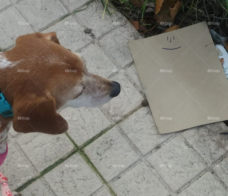 La vida sonríe a India