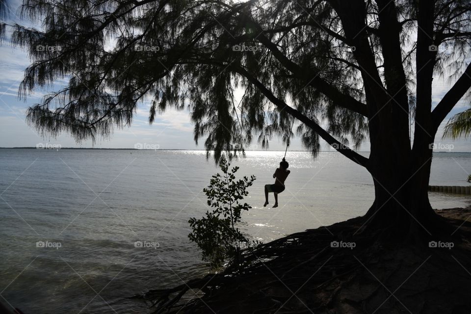 Tree swing in the ocean 