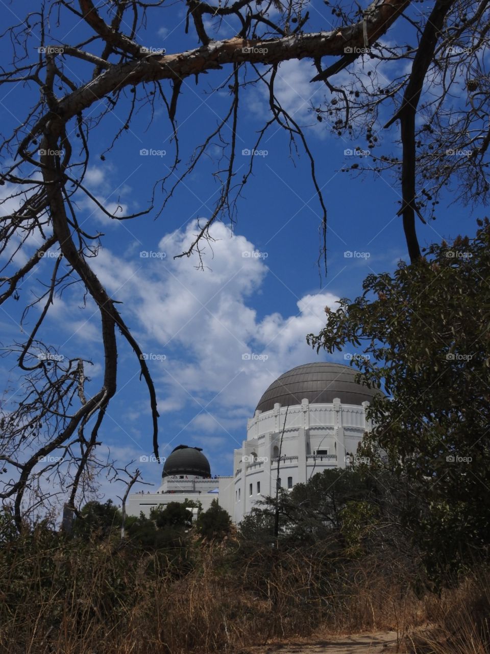 Observatory