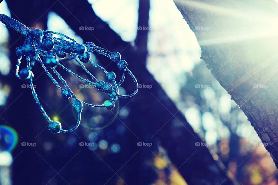 Nature, Drop, H2 O, Abstract, Cold