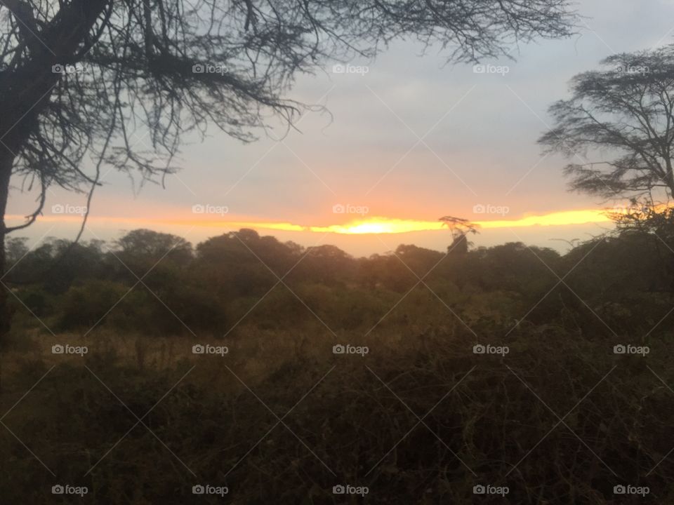 Sunrise in Tanzania 