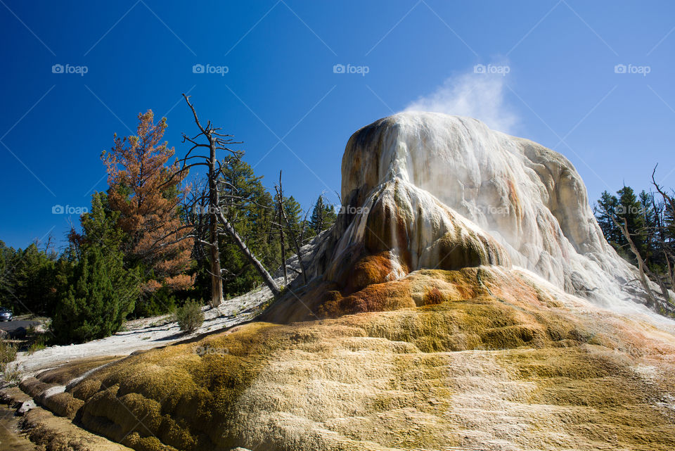 Yellowstone Geyser