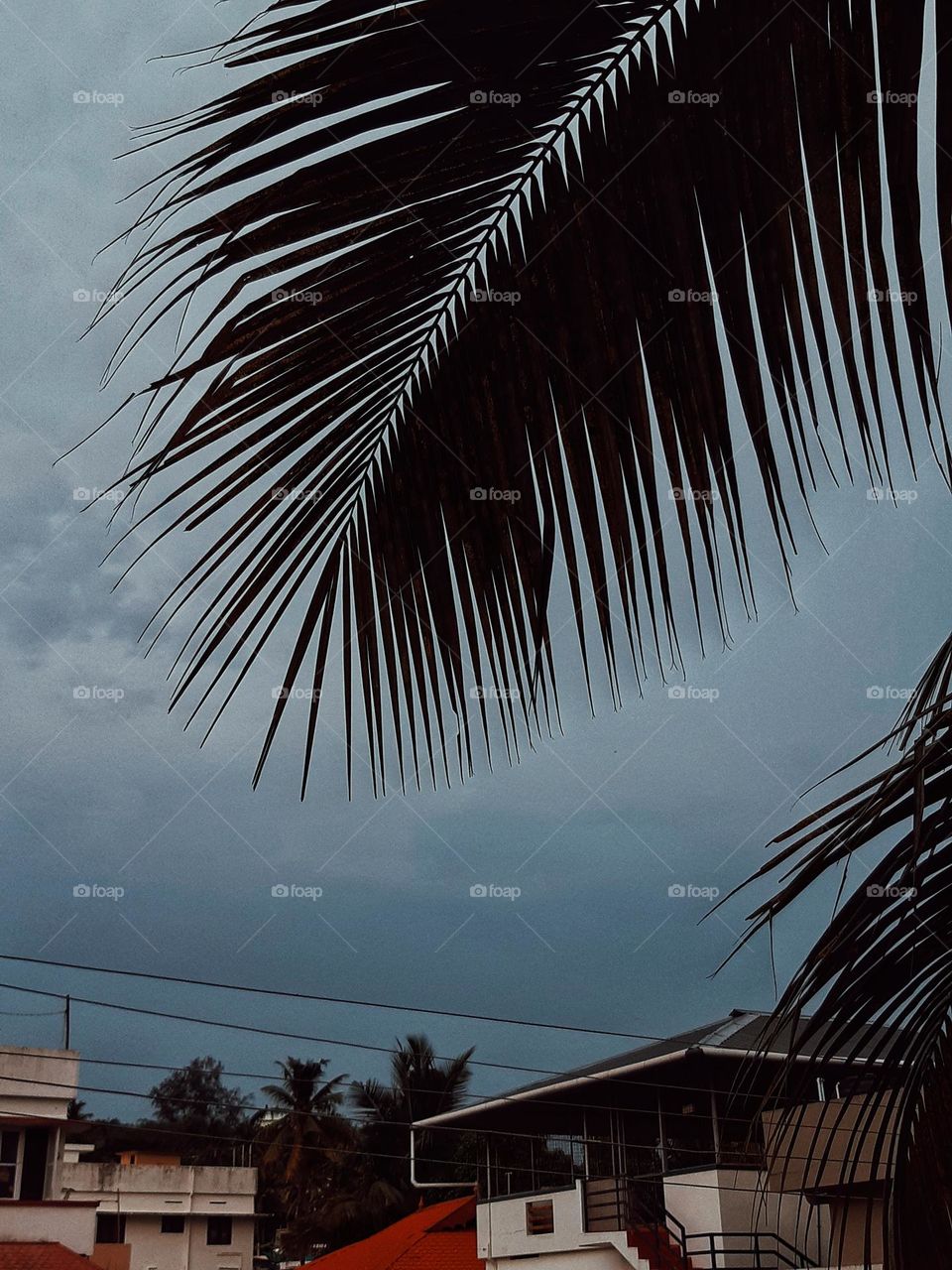 Simple yet beautiful views