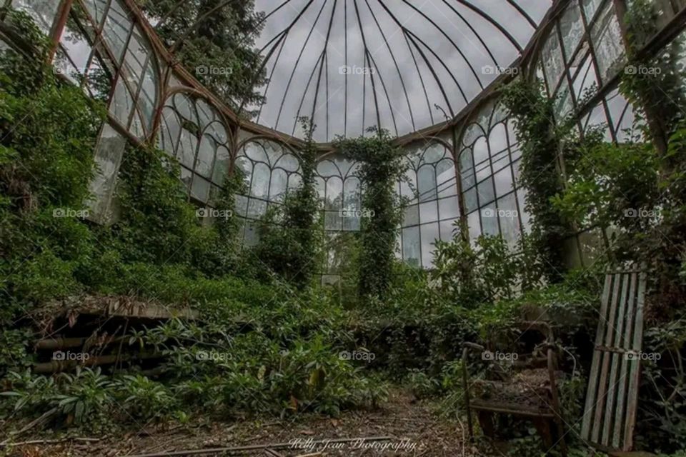 nature takes place around us