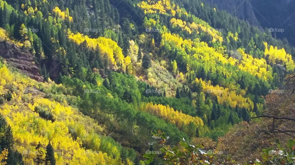 Wood, Mountain, Fall, Nature, Landscape