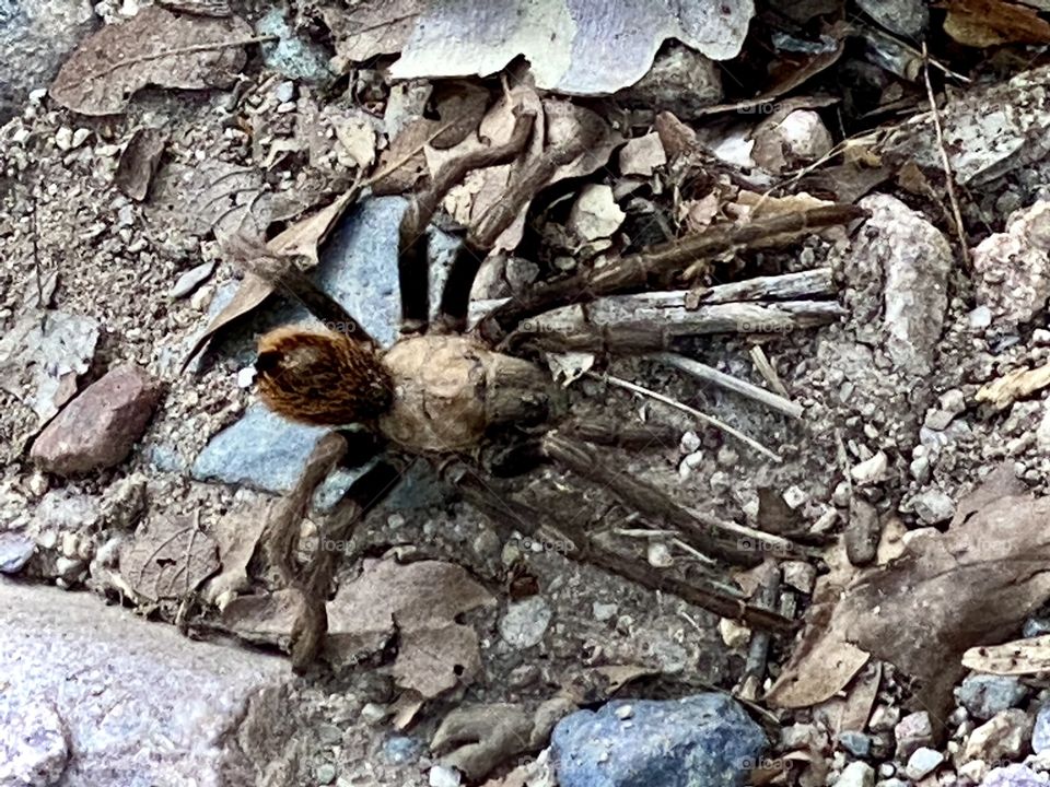 Raw beauty when living in the desert