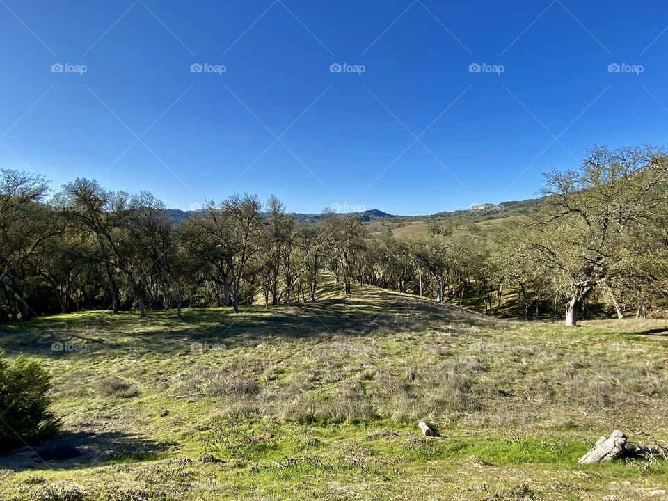 Countryside of Bradley California near Lake Nacimiento 