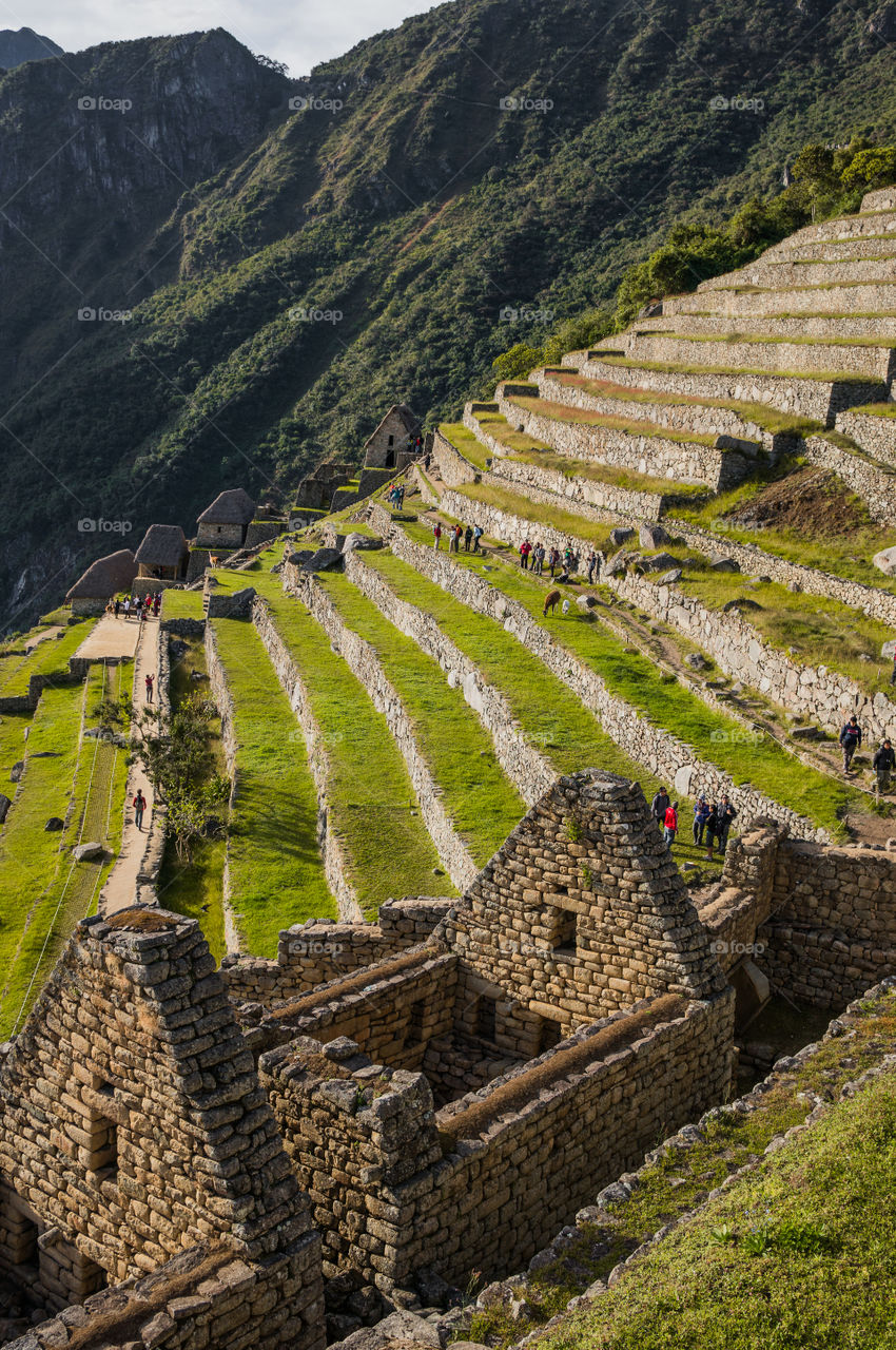 Machu Picchu 