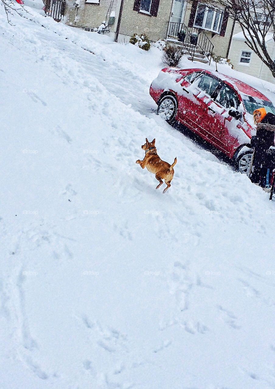 First snow storm of 2016