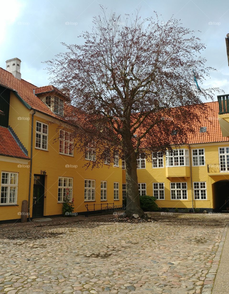 haus Gebäude baum tree gelb yellow alt stadt
