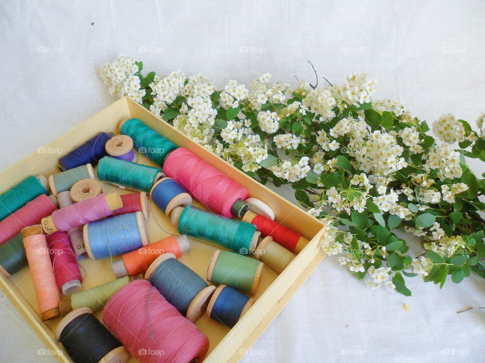 white spring flowers and multi-colored thread for sewing on a white background