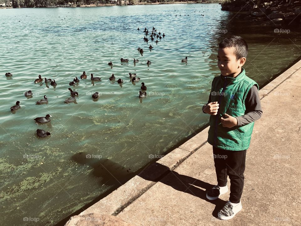 Nephew Enjoying the ducks