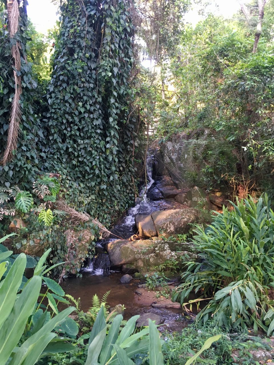 Olha só a cachoeira formada na Serra. Água límpida, fresca e cristalina que forma a cascata. 