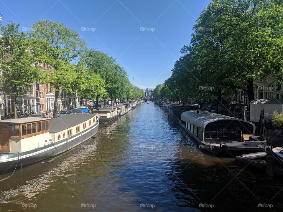 House Boats, Amsterdam, Canal