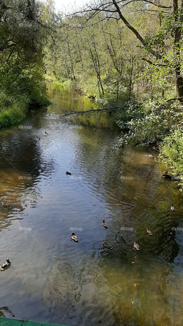 Наконец   то   спокойная  осень