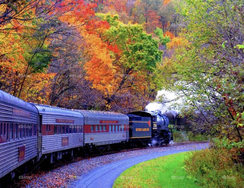 Train 