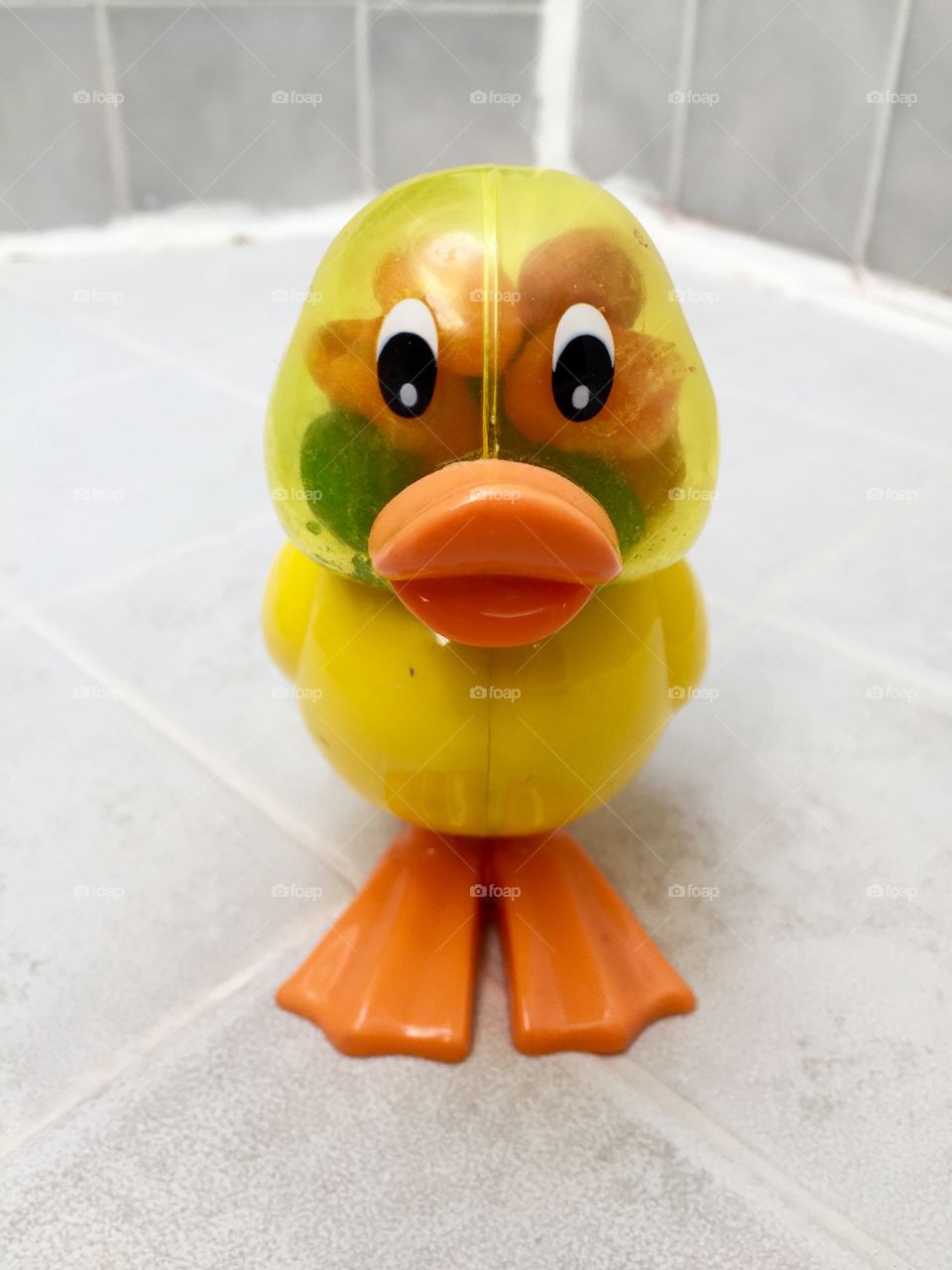 My duck