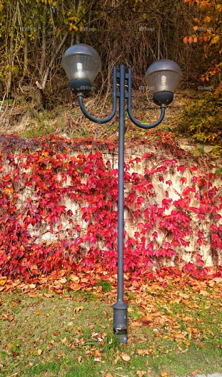 Street light on grassy land in the park