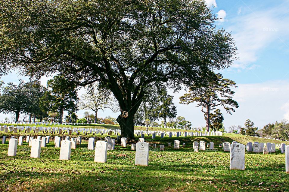 In the shade of a tree.