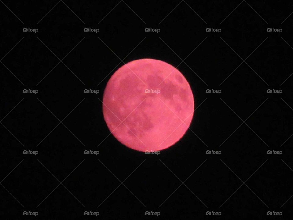 red pink moon